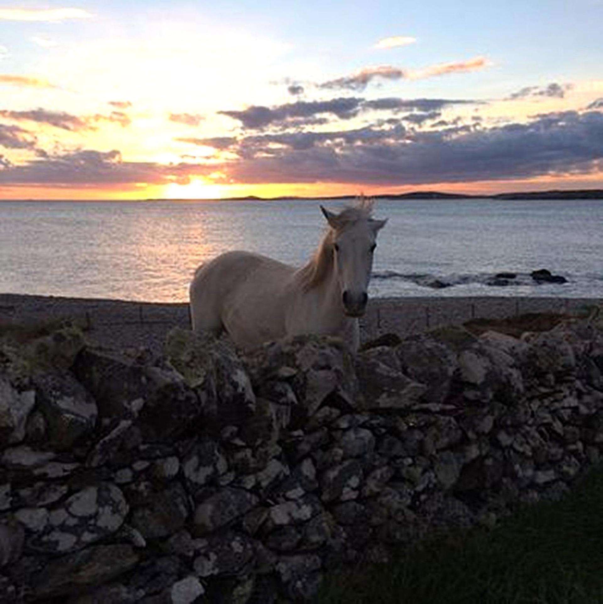 Vila Clochan Clifden Exteriér fotografie